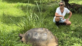 Eine Person kniet im Gras neben einer großen Schildkröte, die entspannt in der Sonne liegt, umgeben von üppigem Grün.