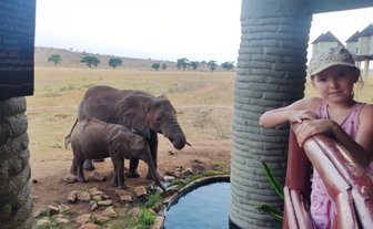 Ein Mädchen steht an einem Holzgeländer und beobachtet zwei Elefanten, die am Wasser trinken, umgeben von einer savannenartigen Landschaft.