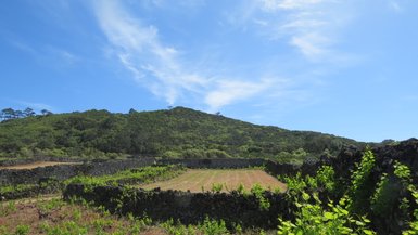 Eine grüne Hügellandschaft mit terrassierten Feldern, umgeben von alten Steinmauern und strahlend blauem Himmel.
