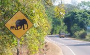 Verkehrsschild Elefantenwechsel - Sri Lanka Summer Family & Teens - Sri Lanka mit Jugendlichen im Sommer
