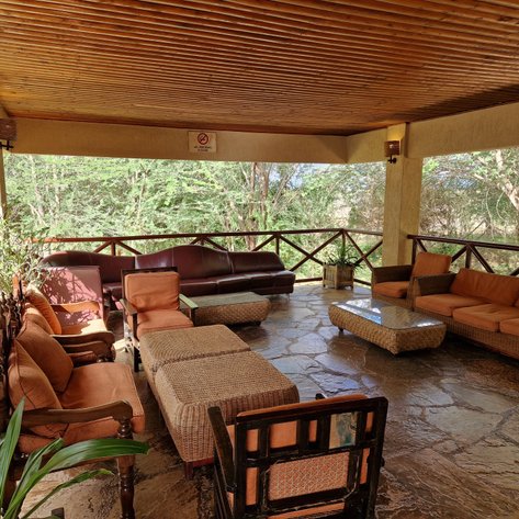 Eine einladende Lounge mit bequemen Sofas und Sesseln, umgeben von üppigem Grün und natürlichem Licht.