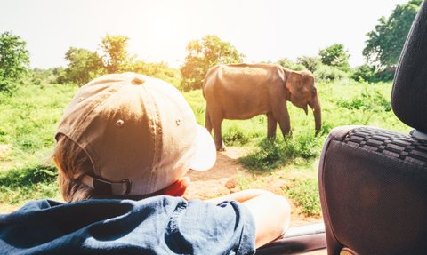 Junge blickt gespannt aus dem Safari-Jeep auf einen Elefanten im Udawalawe Nationalpark – Sri Lanka mit Kindern