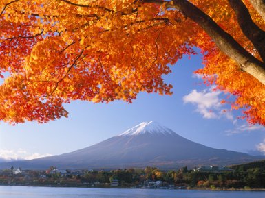 Leuchtend orangefarbene Herbstblätter rahmen den majestätischen Fuji-Berg vor einem klaren blauen Himmel ein.