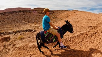 Junge genießt eine spannende Esel-Tour durch die historischen Landschaften von Aït Ben Haddou – Familienurlaub in Marokko