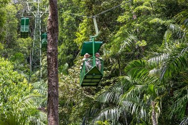 In einer Seilbahn fahren zwei Personen über dichten Dschungel, umgeben von üppigem Grün und hohen Bäumen.