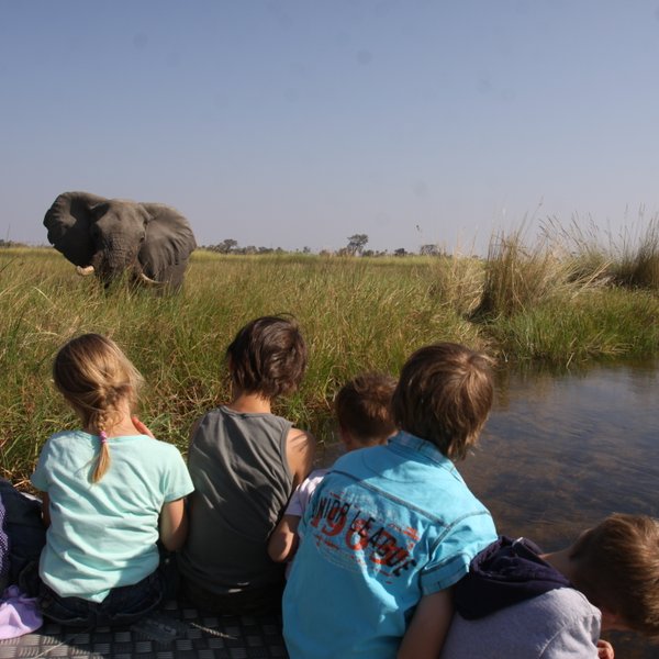 Eine Gruppe von Kindern beobachtet einen Elefanten, der durch das hohe Gras in Botswana wandert, während sie am Wasser sitzen.
