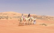 Eine Gruppe von Menschen reitet auf Kamelen durch die weiten, orangefarbenen Sanddünen einer Wüste unter klarem Himmel.