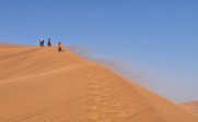 Sanddüne in der Namib-Wüste - Namibia for family - Namibia mit Kindern