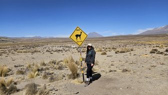 Eine Frau steht neben einem Warnschild, das vor Lamas in der Wüste Perus warnt, mit Bergen im Hintergrund.