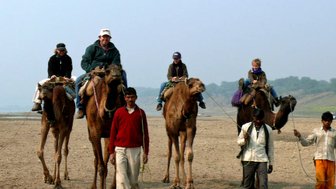Eine Gruppe von Menschen reitet auf Kamelen am Ufer des Chambal-Flusses, umgeben von einer ruhigen Landschaft.