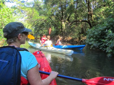 Eltern und Kinder erleben Kajakfahrt auf ruhigem Gewässer – Costa Rica Reise mit Kindern