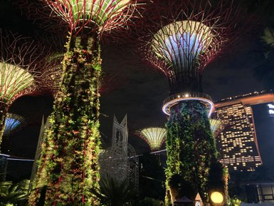 Supertree Grove in Singapur nachts beeindruckend beleuchtet – Singapur Reise mit Kindern