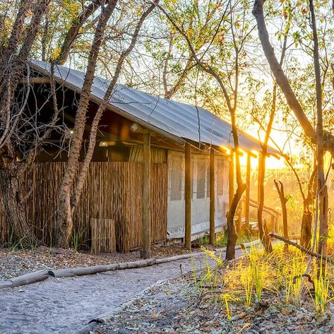 Ein rustikales Camphaus in Botswana, umgeben von Bäumen, während die Sonne am Horizont untergeht.