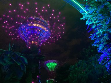Beeindruckend beleuchtete Supertrees im Supertree Grove – Singapur Familienreise