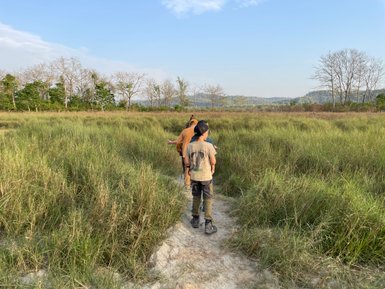 Eine Gruppe von Kindern wandert durch hohes Gras in Chitwan, umgeben von Bäumen und sanften Hügeln im Hintergrund.