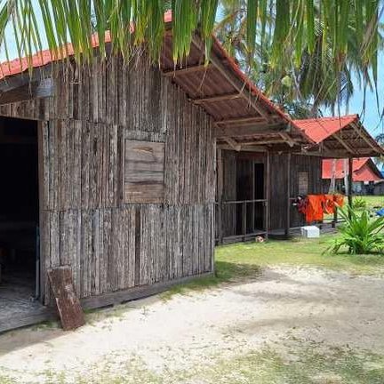 Ein rustikales Holzhaus mit einem roten Dach steht auf einer grünen Wiese, umgeben von Palmen und einem sandy Strand.