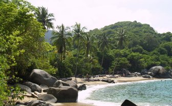 Ein malerischer Strand mit sanften Wellen, umgeben von üppigem Grün und hohen Palmen, lädt zum Entspannen ein.