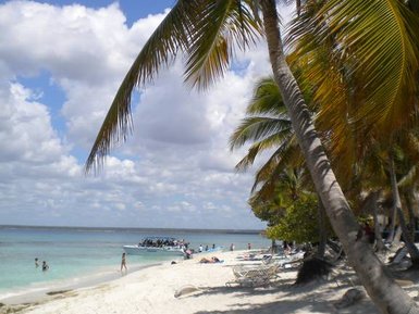 Ein sonniger Strand in der Dominikanischen Republik mit Palmen, feinem Sand und Menschen, die im Wasser entspannen.