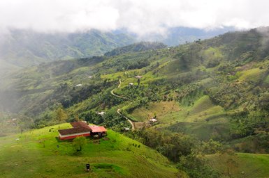 Eine weite, grüne Landschaft mit sanften Hügeln und einem kleinen roten Haus, umgeben von Bäumen und Nebel.