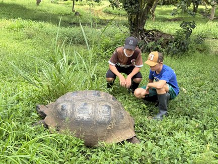 Zwei Kinder beobachten fasziniert eine große Schildkröte, die in einem grünen, bewachsenen Bereich sitzt.