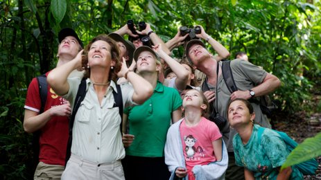 Familien beobachten aufmerksam die Tierwelt mit Ferngläsern im Regenwald – Costa Rica Familienreise
