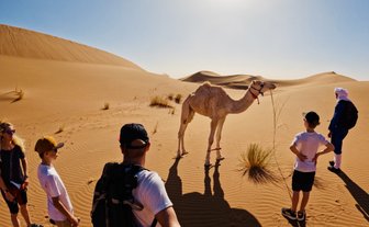 Familie hält ein Selfie mit einem Kamel in der Wüste fest – Marokko Reise mit Kindern