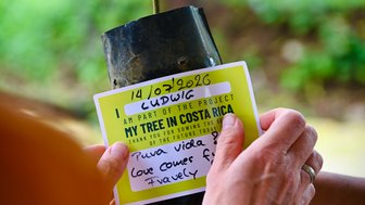 Eine Hand hält eine grüne Karte, auf der steht, dass man Teil eines Baumprojekts in Costa Rica ist, während man einen kleinen Baum anfasst.