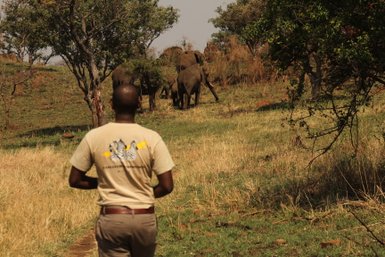 Safari-Guide weist auf eine Elefantenherde hin – Tansania Reise mit Kindern