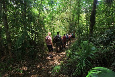Gruppe von Familien wandert durch den dichten Regenwald – Bali Familienreise