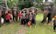 Familie steht vor Elefanten - Thailand Family & Teens - Thailand mit Kindern und Jugendlichen