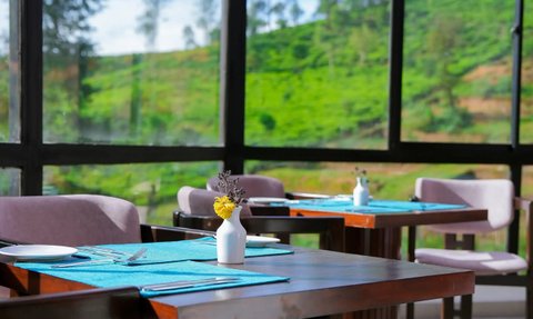 Ein elegantes Restaurant mit Holztischen und lila Stühlen, umgeben von großen Fenstern und einer grünen Landschaft.
