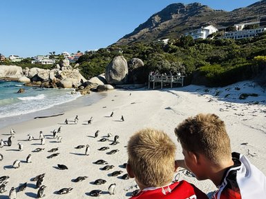 Zwei Jungen beobachten eine Gruppe von Pinguinen am Strand, umgeben von Felsen und einer malerischen Küstenlandschaft.