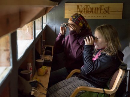 Zwei Personen beobachten mit Ferngläsern die Natur aus einer gemütlichen Hütte, umgeben von Holz und einer einladenden Atmosphäre.