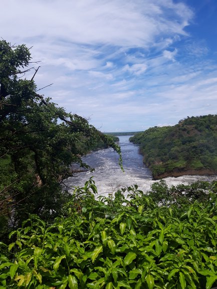 Ein Blick auf den mächtigen Fluss, der durch üppige grüne Vegetation und sanfte Hügel fließt, unter einem strahlend blauen Himmel.