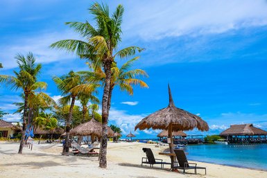 Ein sonniger Strand mit Palmen, Liegen und Strohdächern, ideal für Entspannung und Erholung am Wasser.