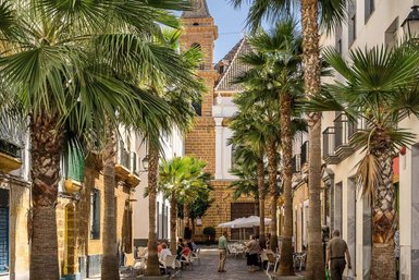 Eine malerische Gasse in Cadiz, gesäumt von Palmen und historischen Gebäuden, mit Menschen, die entspannt sitzen.