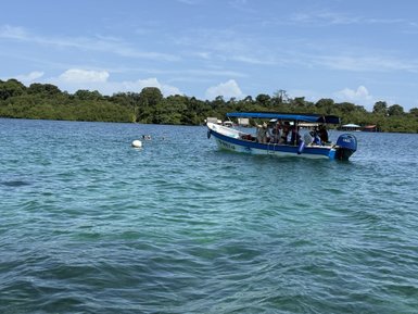 Ein farbenfrohes Boot fährt durch die klaren, türkisfarbenen Gewässer, während einige Schwimmer im Hintergrund entspannen.