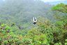 Zipling durch Dschungel - Costa Rica Family & Teens - Costa Rica mit Teenagern
