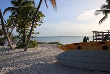 Ein ruhiger Strand mit Palmen, einem gelben Kajak und sanften Wellen, die den Sand umspülen, unter einem klaren Himmel.