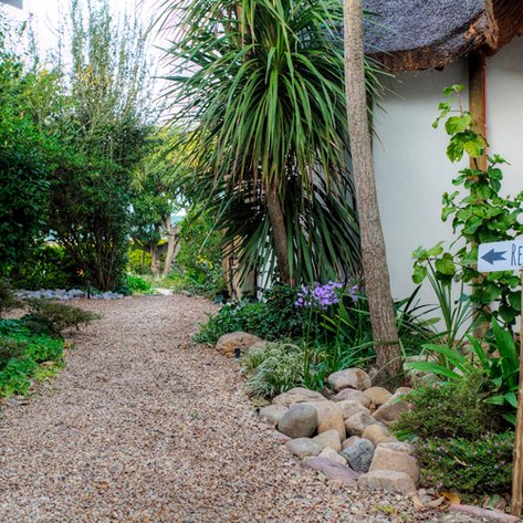 Ein schmaler Kiesweg führt durch üppige Pflanzen und Bäume, mit einem Schild, das zur Rezeption zeigt.