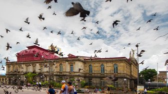 Bunte Vögel vor den Sehenswürdigkeiten in San José – Costa Rica Reise mit Kindern