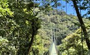 Hängebrücke im Regenwald - Costa Rica Reise mit Kindern