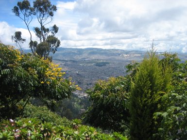 Blick auf Bogotá von Monserrate, umgeben von üppigem Grün und bunten Blumen unter einem klaren Himmel.