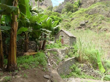 Eine kleine steinerne Hütte mit einem roten Tür, umgeben von üppigen, grünen Bananenpflanzen und sanften Hügeln.