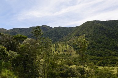 Eine üppige grüne Landschaft mit sanften Hügeln und dichten Wäldern, die von majestätischen Bergen umgeben ist.