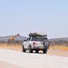 Ein Jeep mit Dachzelt steht vor einer Giraffe - Namibia Familienurlaub