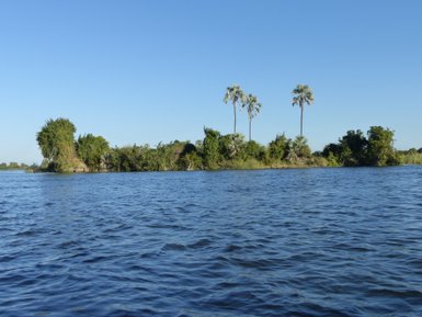 Foto vom Flussufer mit Bäumen - Namibia Familienurlaub