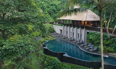 Ein luxuriöser Infinity-Pool umgeben von üppigem Grün und eleganten Liegen, ideal für Entspannung und Erholung.