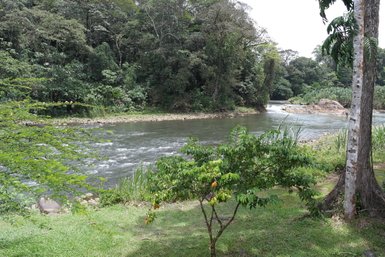 Fluss Río Carlos mit üppiger Vegetation in Boca Tapada – Costa Rica Familienreise