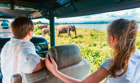 Eine Familie fährt im offenen Jeep durch den Udawalawe Nationalpark auf der Suche nach wilden Tieren – Sri Lanka mit Kindern